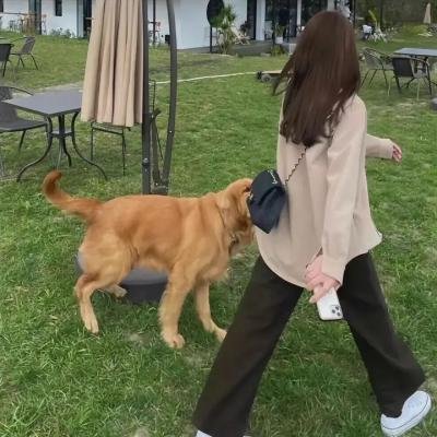 9号秘事第九季